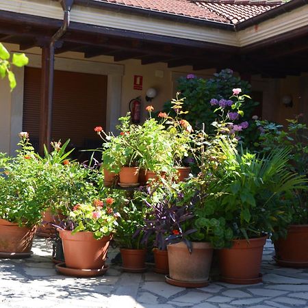 Hotel Arenas De Cabrales- Apartamentos Екстериор снимка