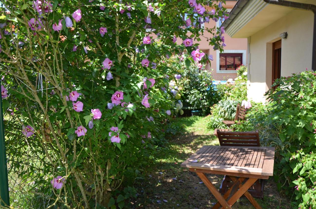 Hotel Arenas De Cabrales- Apartamentos Екстериор снимка
