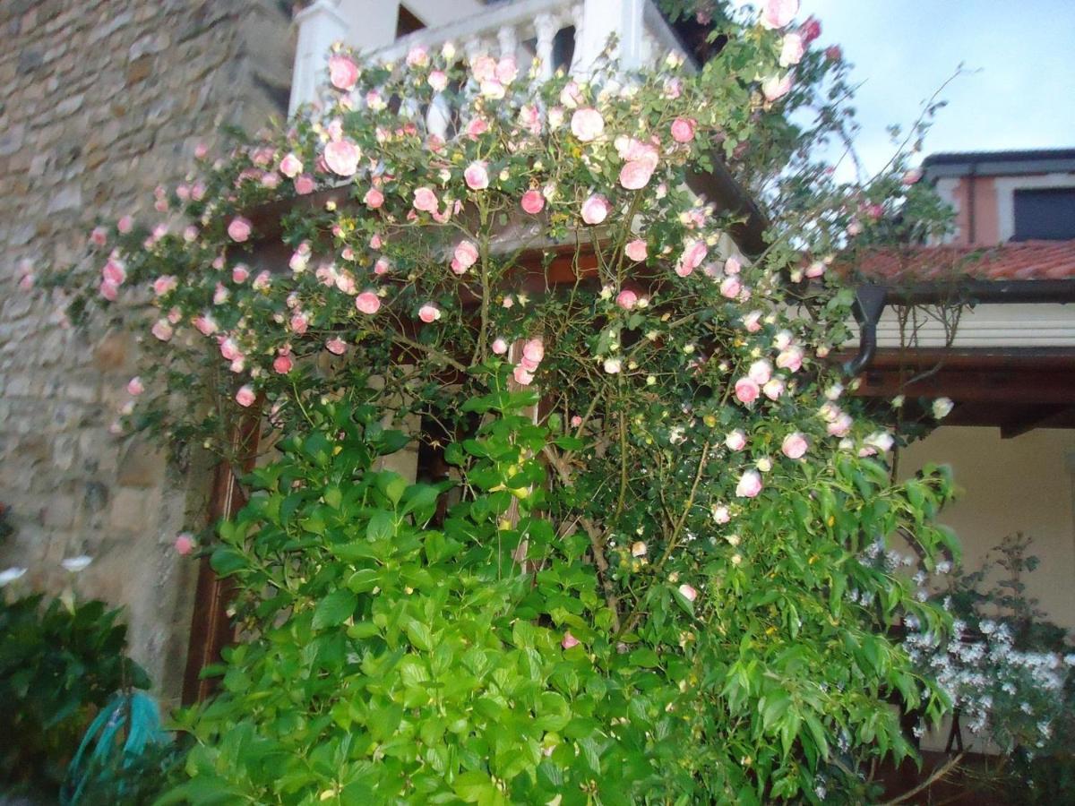Hotel Arenas De Cabrales- Apartamentos Екстериор снимка